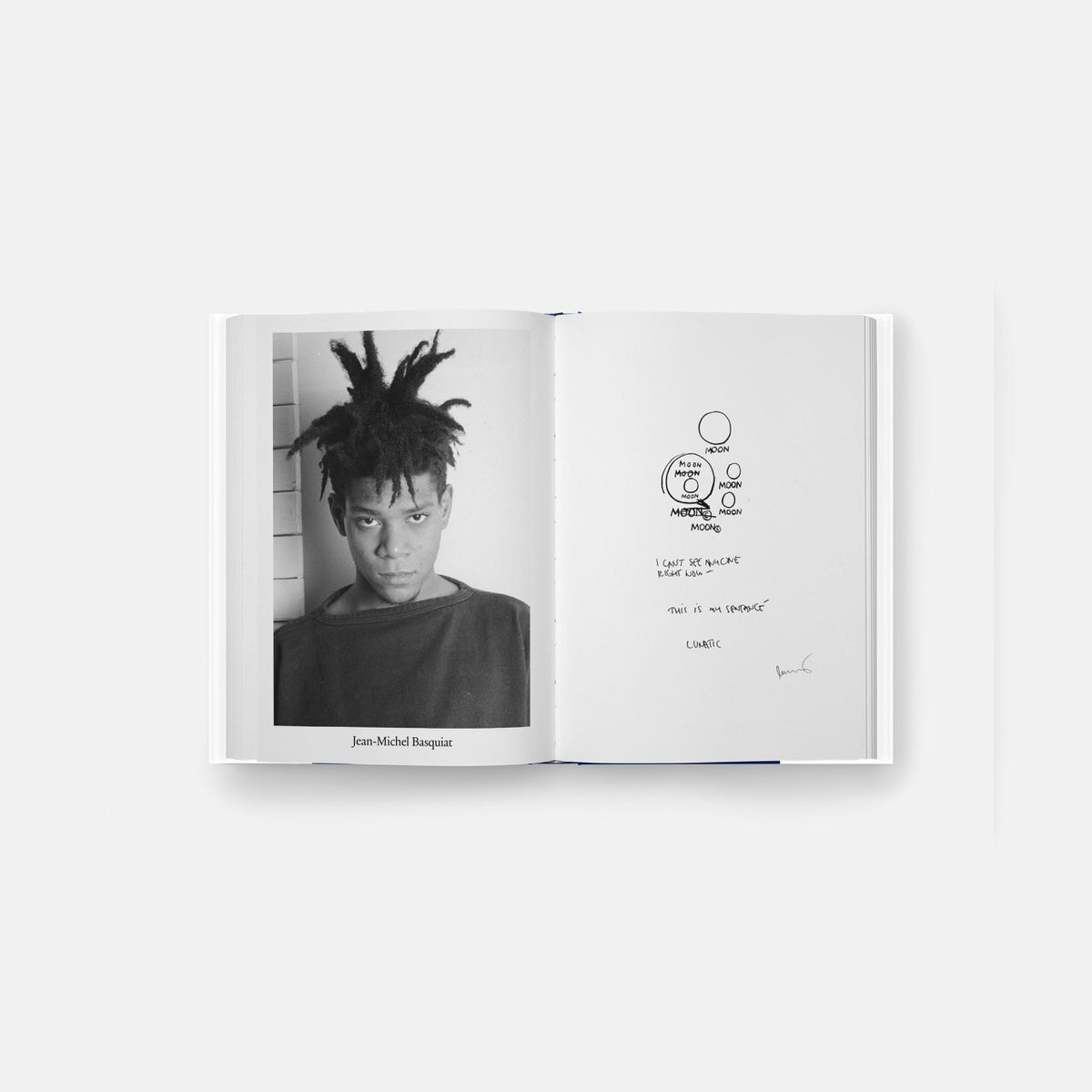 Phaidon Luna Luna | Kith