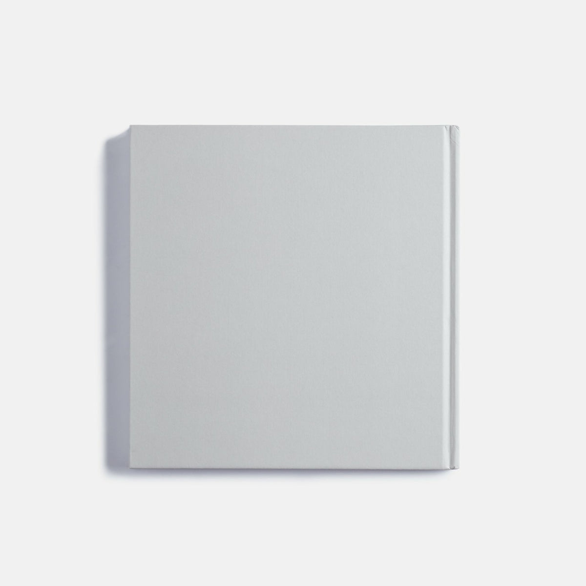 PHAIDON Kate | Kith