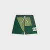 Conifer