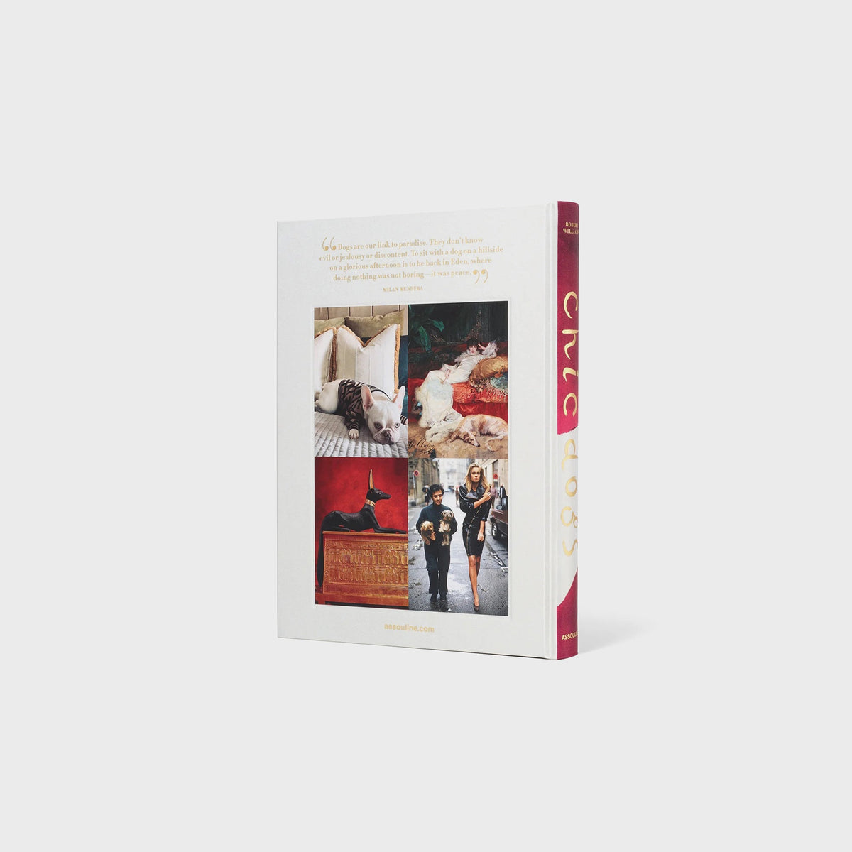 Assouline Chic Dogs | Kith